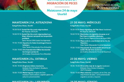 Día-Mundial-de-Diputación-Foral-de-Gipuzkoa-la-Migración-de-Pecesdescarga