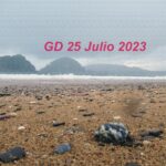 Las Piedras de la Playa de Ondarreta 25 Julio 2023