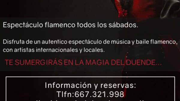 El Duende de la Sole Centro Flamenco